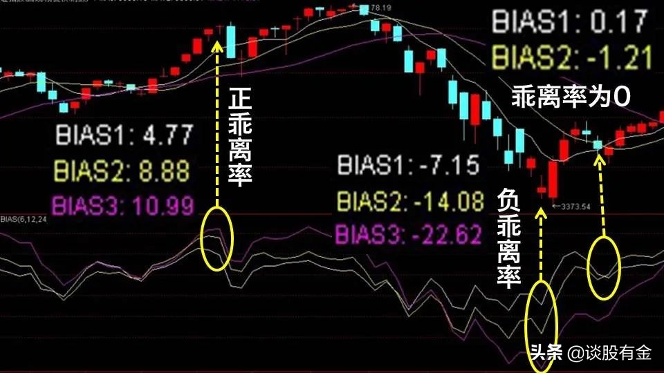 市农科院开展安全培训与学习交流