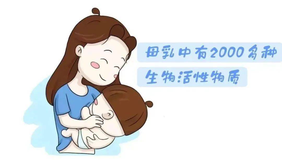 坚果食品质量安全风险防控研讨会圆满举办，助力行业迈向高质量发展