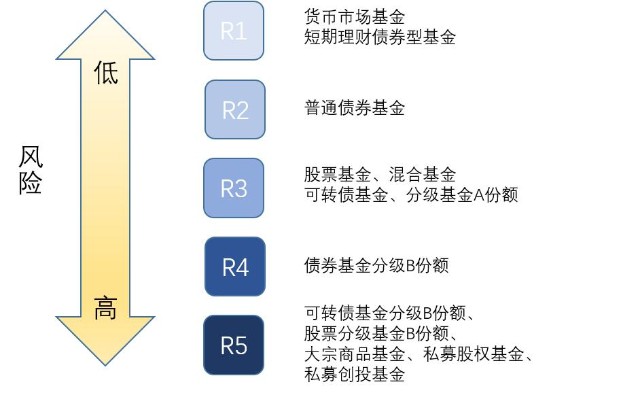 武乐镇第九届荔枝嘉年华开幕